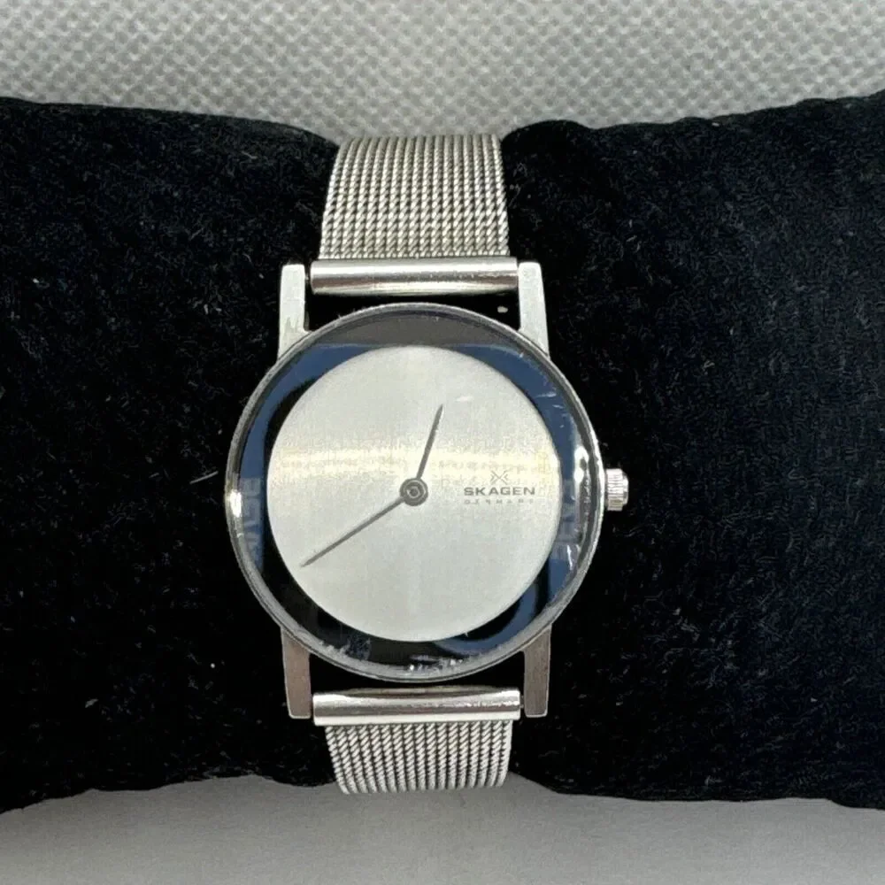 Skagen 39SSS Women's Silver Stainless Steel Mesh Analog Dial Wrist Watch JNA571